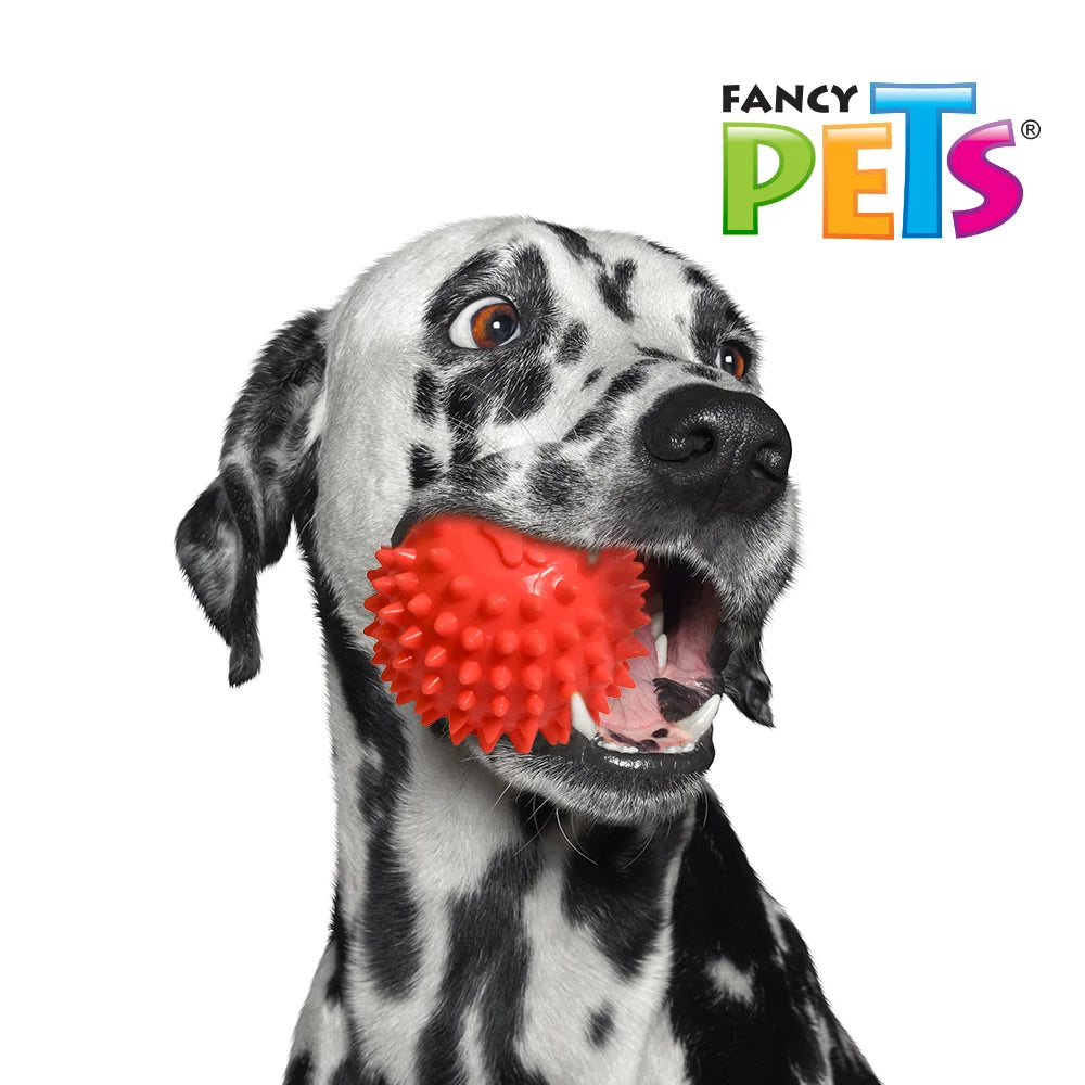 Fancy Pets. Pelota texturizada para perros pequeños