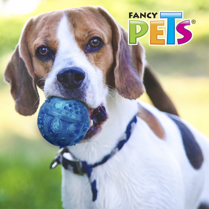 Fancy Pets. Pelota chirriante