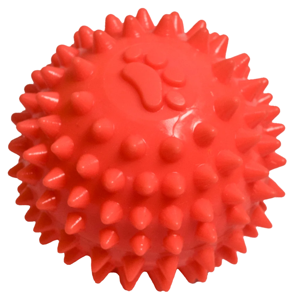 Fancy Pets. Pelota texturizada para perros pequeños