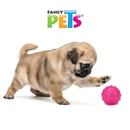 Fancy Pets. Pelota de hule para perros pequeños