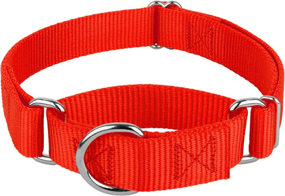 Collar Martingale para Perros