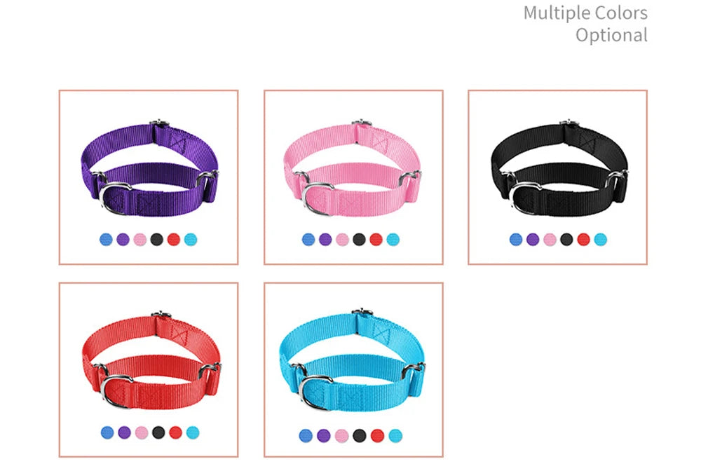 Collar Martingale para Perros