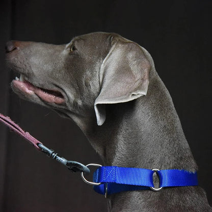 Collar Martingale para Perros