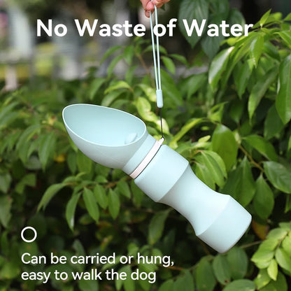 Botella de agua para paseos