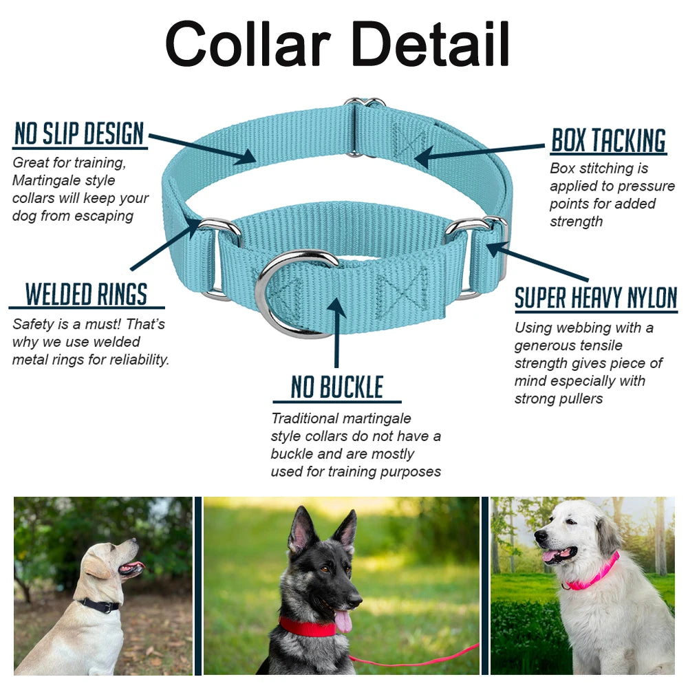 Collar Martingale para Perros