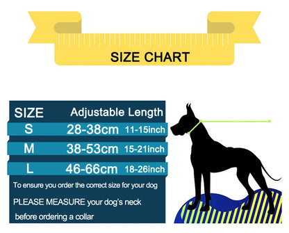 Collar Martingale para Perros