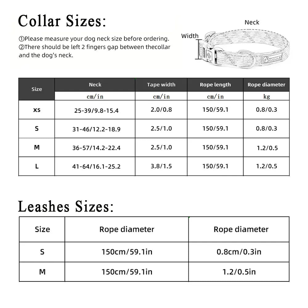 Juego de collar y correa