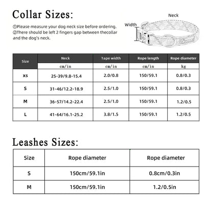 Juego de collar y correa