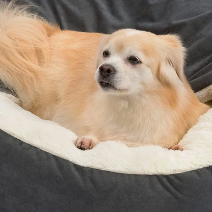 Cama Semi-cerrada para mascotas pequeñas y medianas