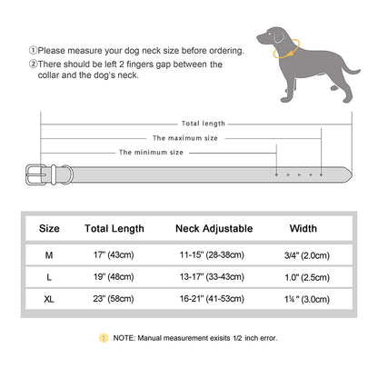 Collar para perro con espacio para Airtag