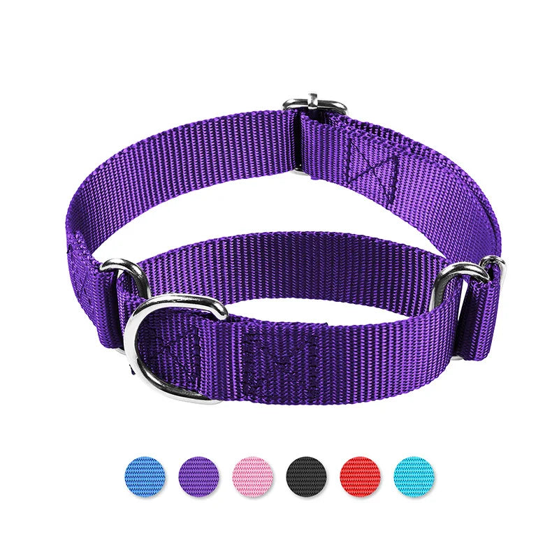 Collar Martingale para Perros