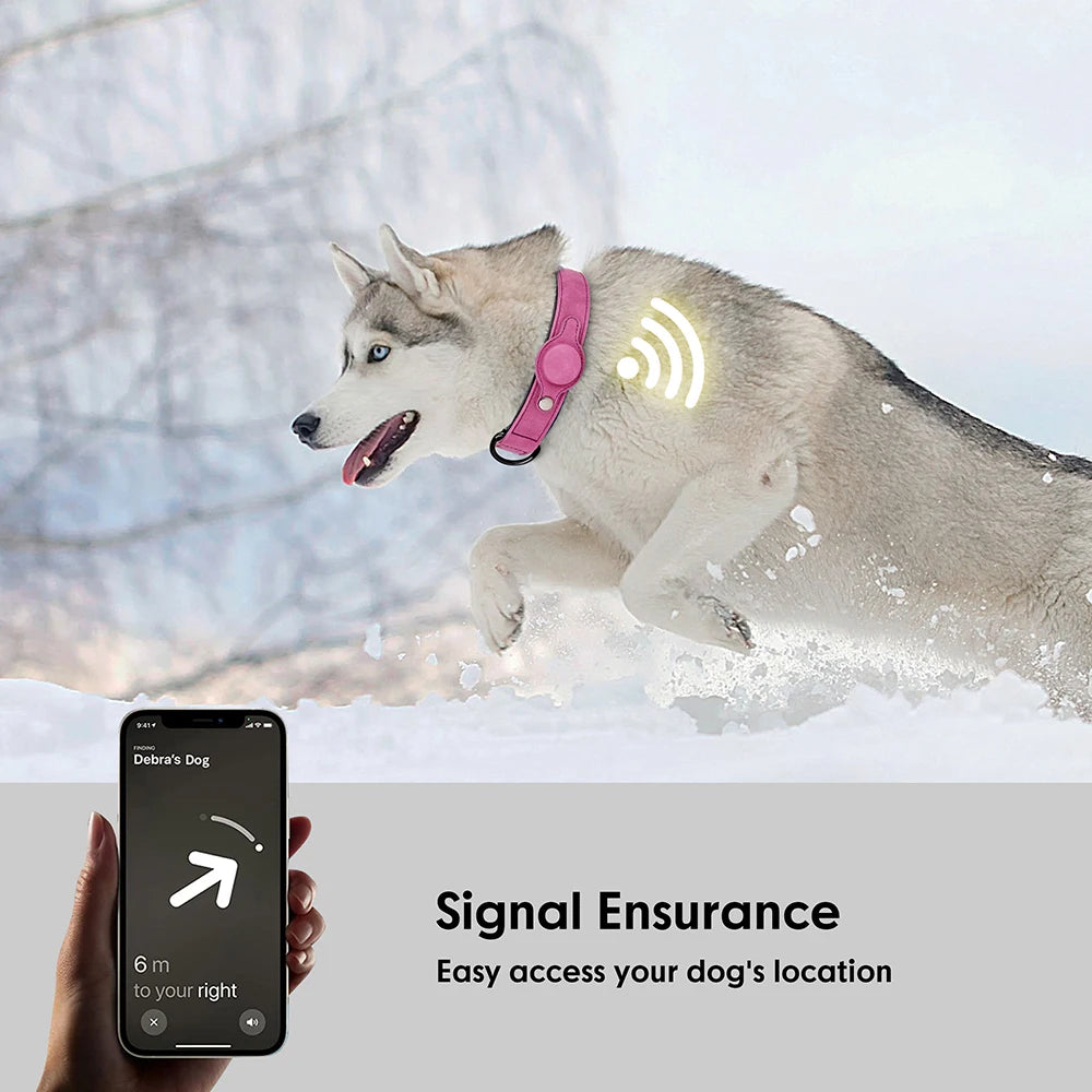 Collar para perro con espacio para Airtag