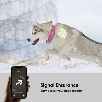 Collar para perro con espacio para Airtag