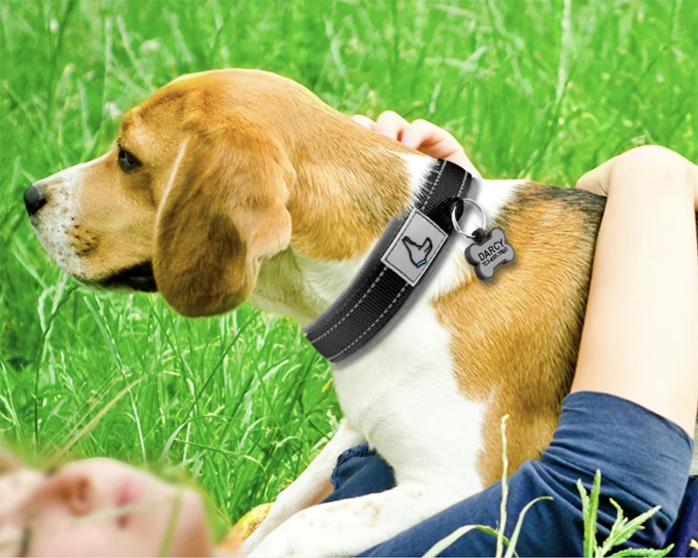 Collar acolchado para perros