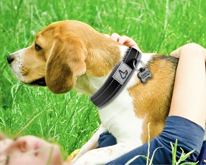 Collar acolchado para perros