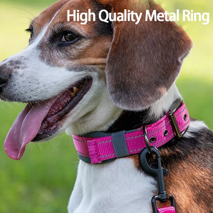 Collar acolchado para perros