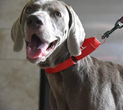 Collar Martingale para Perros