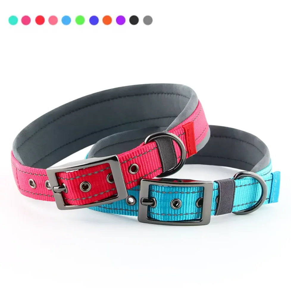 Collar acolchado para perros