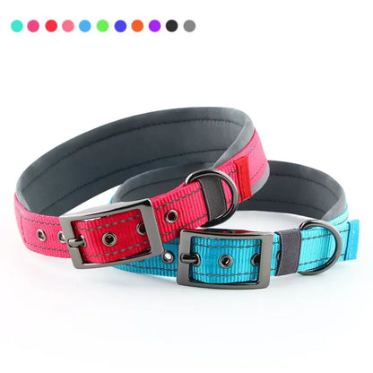 Collar acolchado para perros