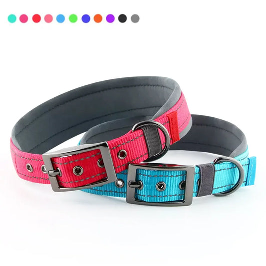 Collar acolchado para perros