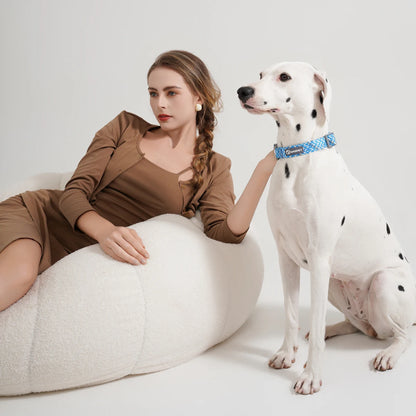 Juego de collar y correa