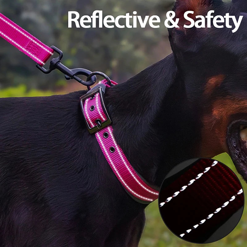 Collar acolchado para perros