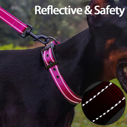 Collar acolchado para perros