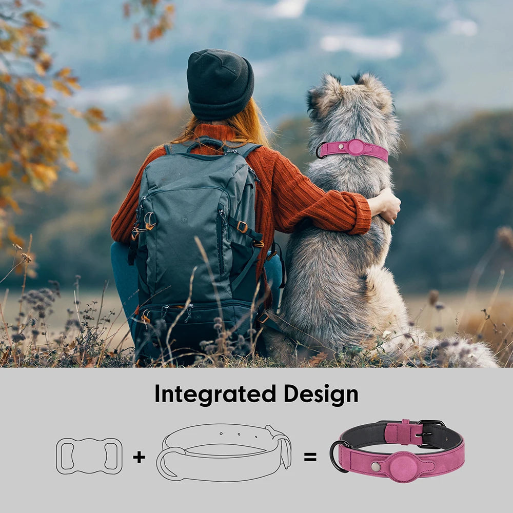 Collar para perro con espacio para Airtag